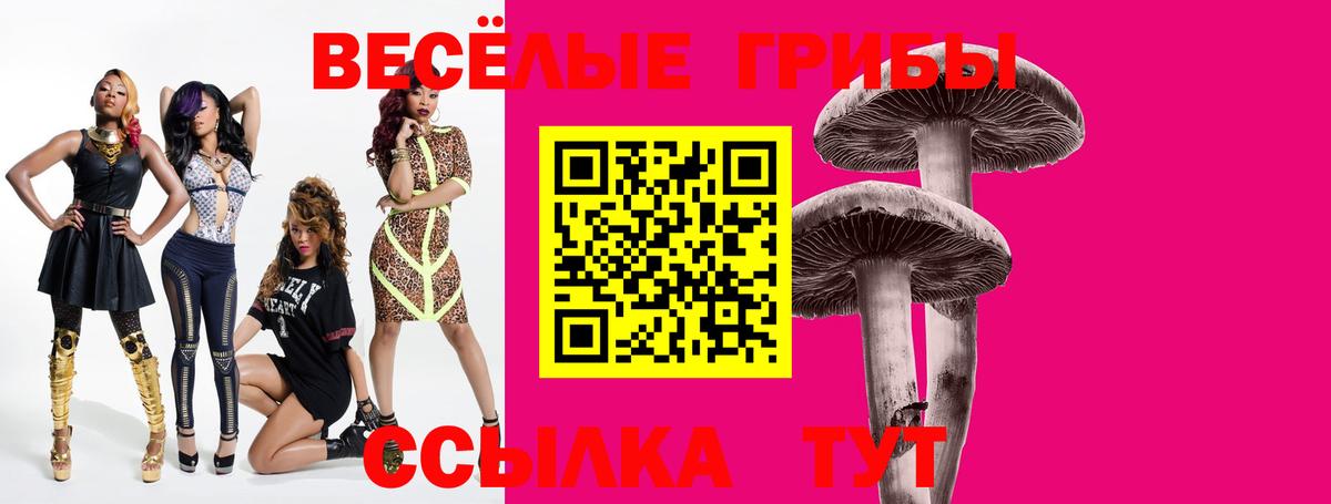 Новошахтинск  Псилоцибиновые грибы MAGIC MUSHROOMS  Вход с VPN 